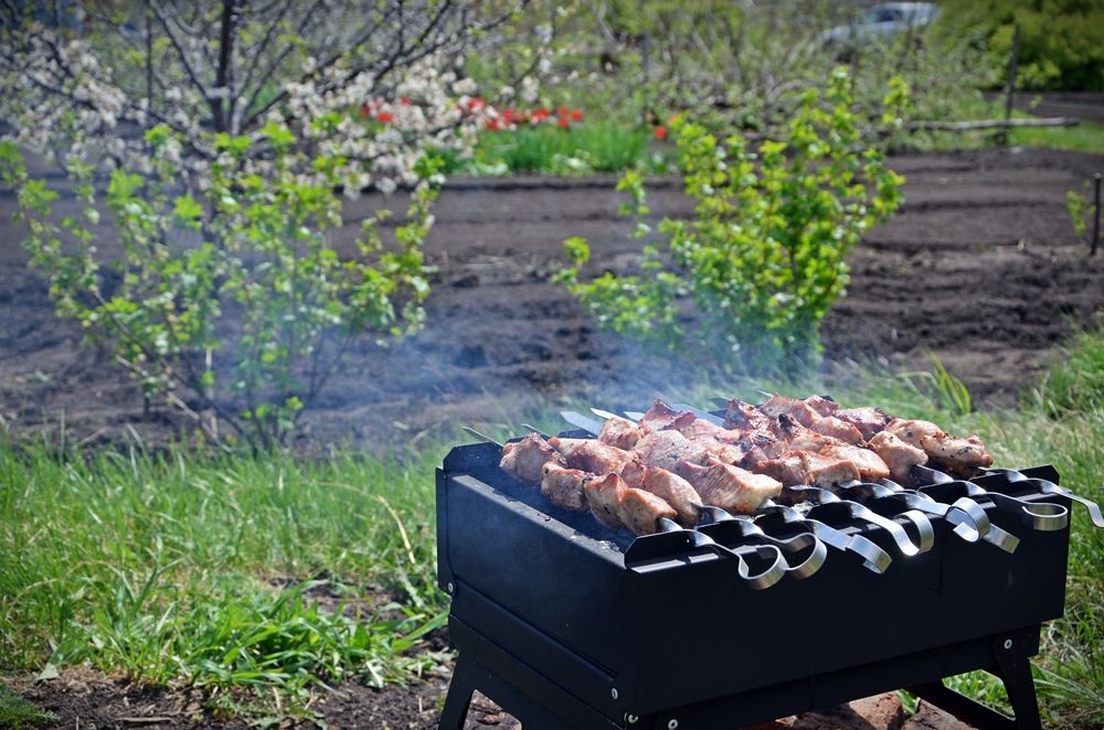 Mangal "Peceneg"