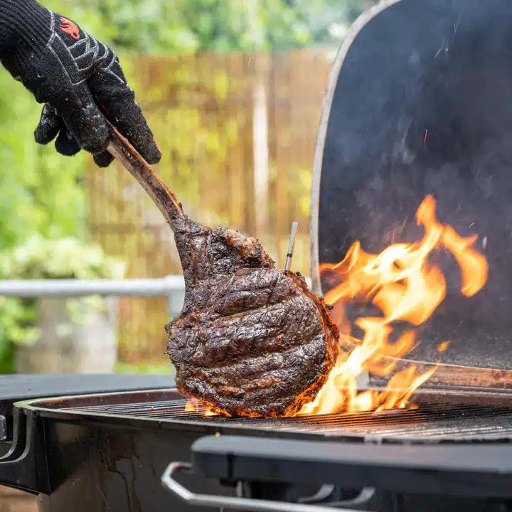 Termometru pentru carne Meater MP201