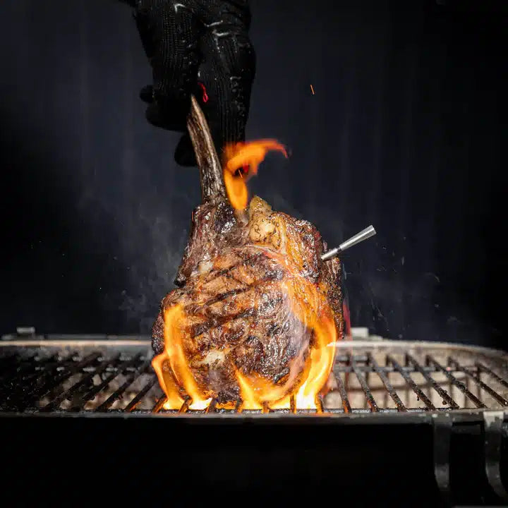 Termometru pentru carne Meater MP201